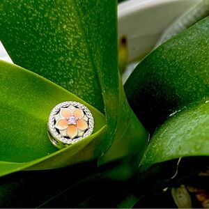 NEW Pandora limited edition flower charm.